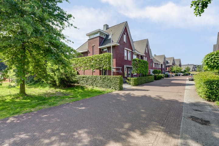 Foto 6 van Liesbergerhout 1