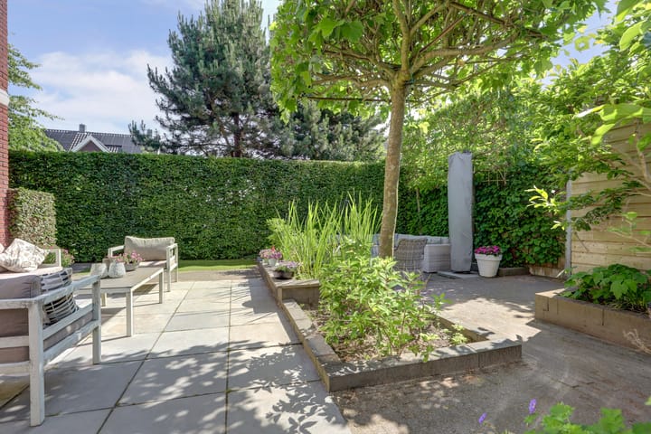 Foto 37 van Liesbergerhout 1