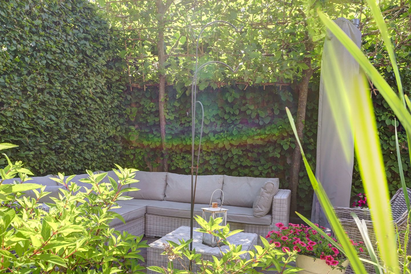 Foto 40 van Liesbergerhout 1