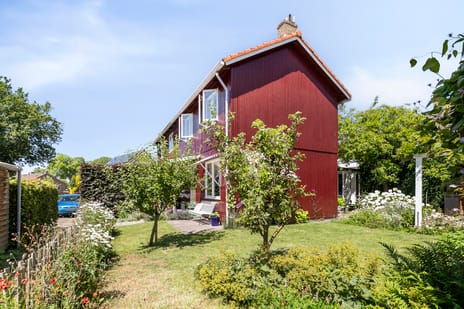 undefined main image