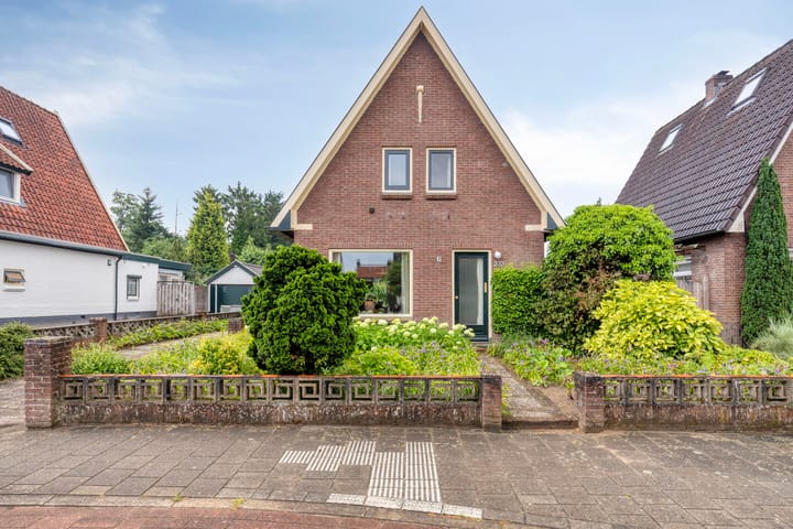 undefined main image