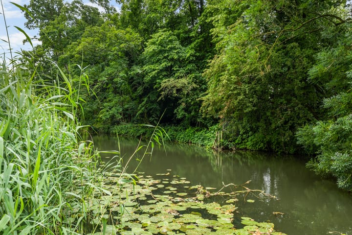 Foto 27 van Erasmuslaan 1-A