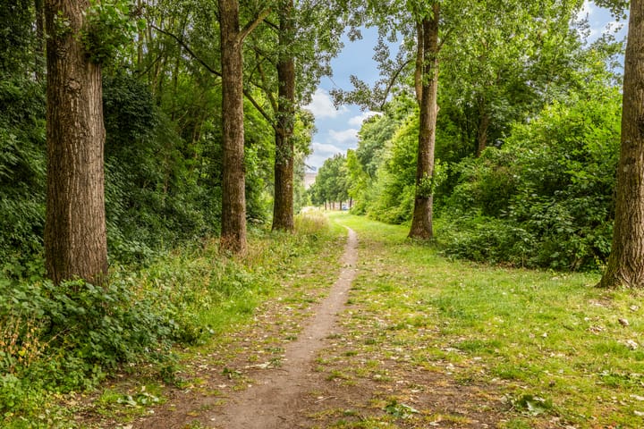 Foto 28 van Erasmuslaan 1-A