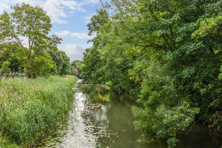 Foto 29 van Erasmuslaan 1-A