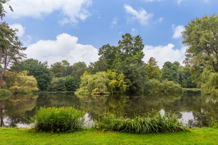 Foto 30 van Erasmuslaan 1-A