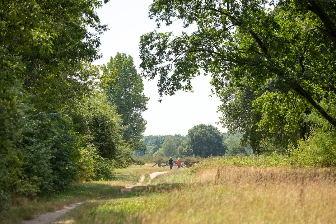 Foto 26 van Egelantierstraat 62