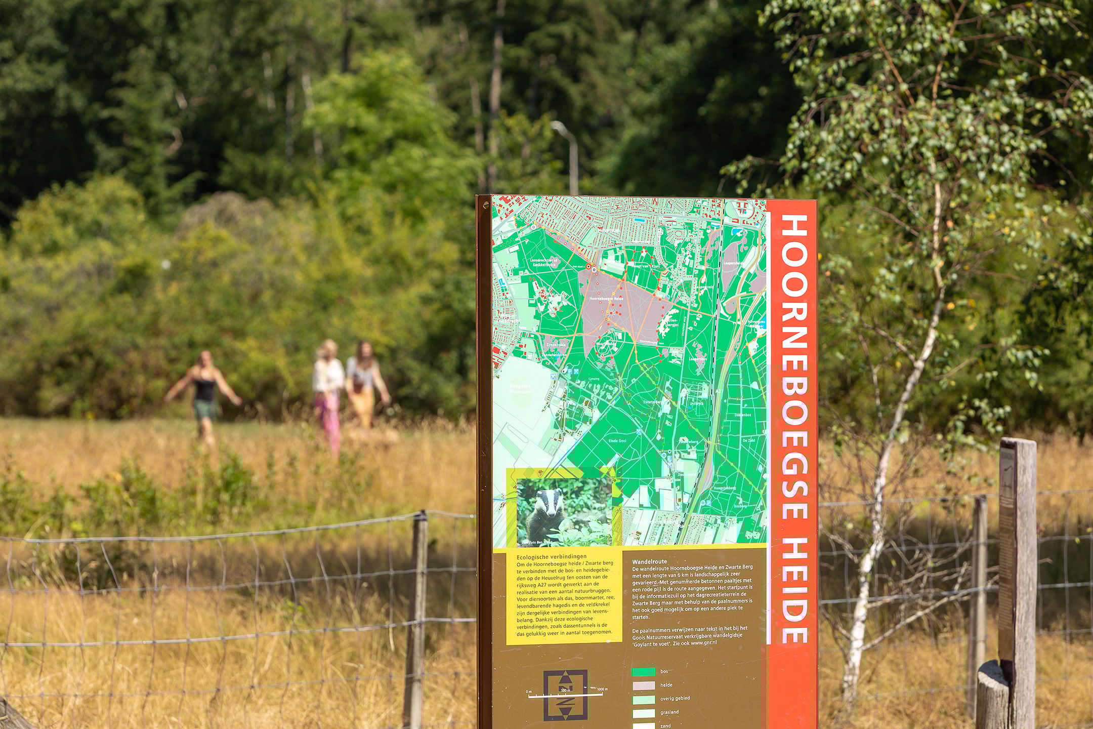 Foto 27 van Egelantierstraat 62