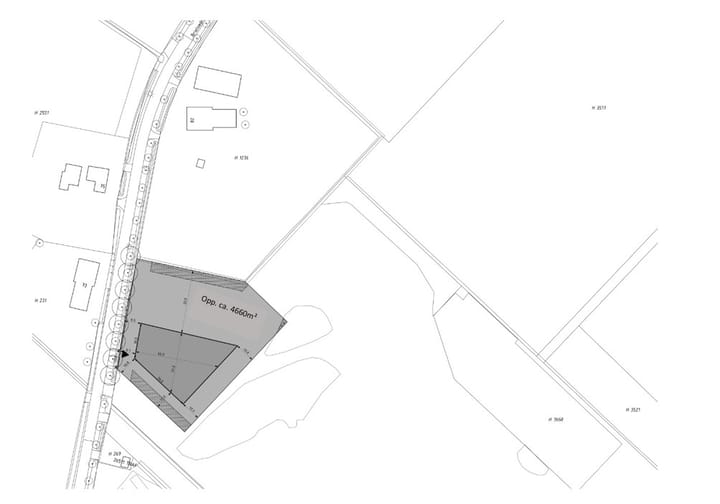 Photo 1 of Brielsedreef