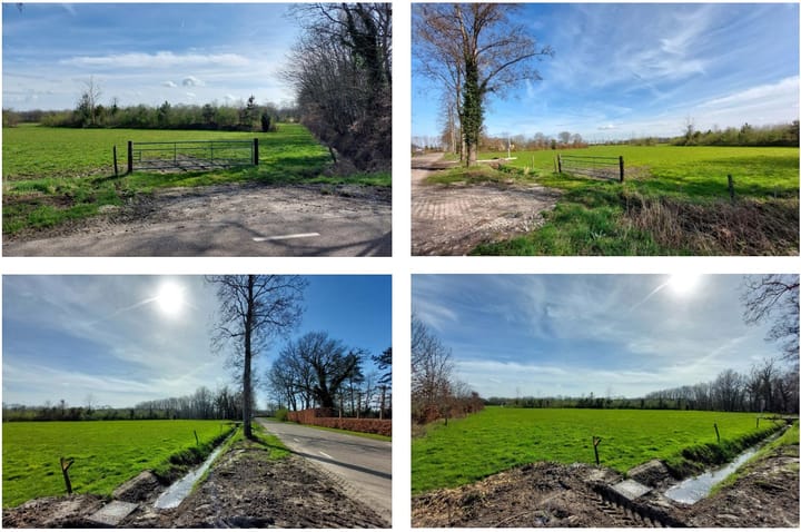 Photo 4 of Brielsedreef