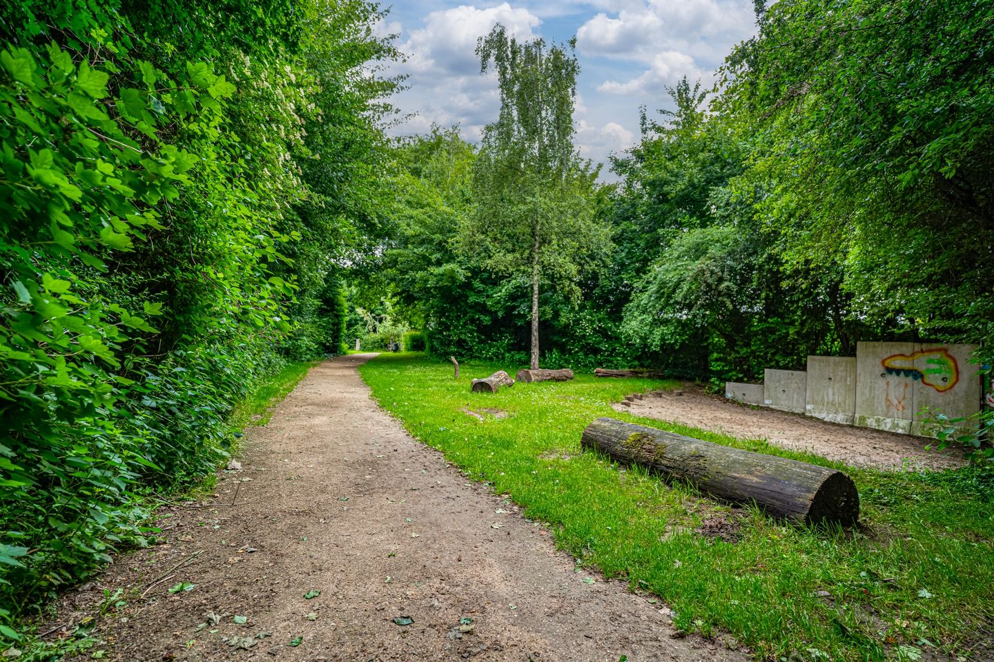 Foto 55 van Zwaluwstraat 23