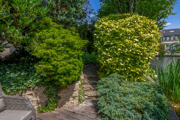 Foto 28 van Bassano 6