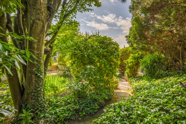 Foto 47 van Bassano 6