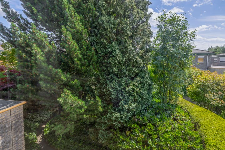 Foto 48 van Bassano 6