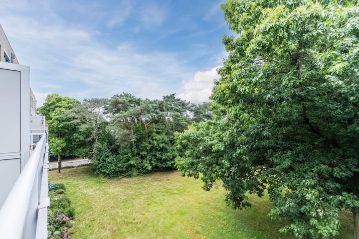 Foto 9 van Zwartvenseweg 66