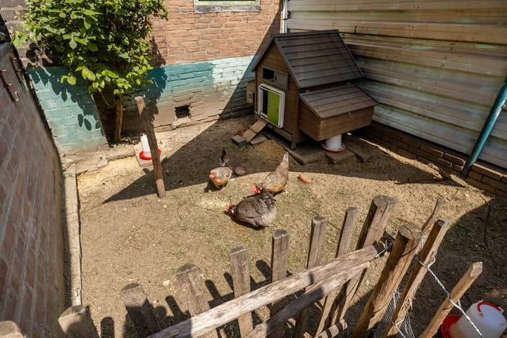 Foto 44 van Meerser Koestraat 11