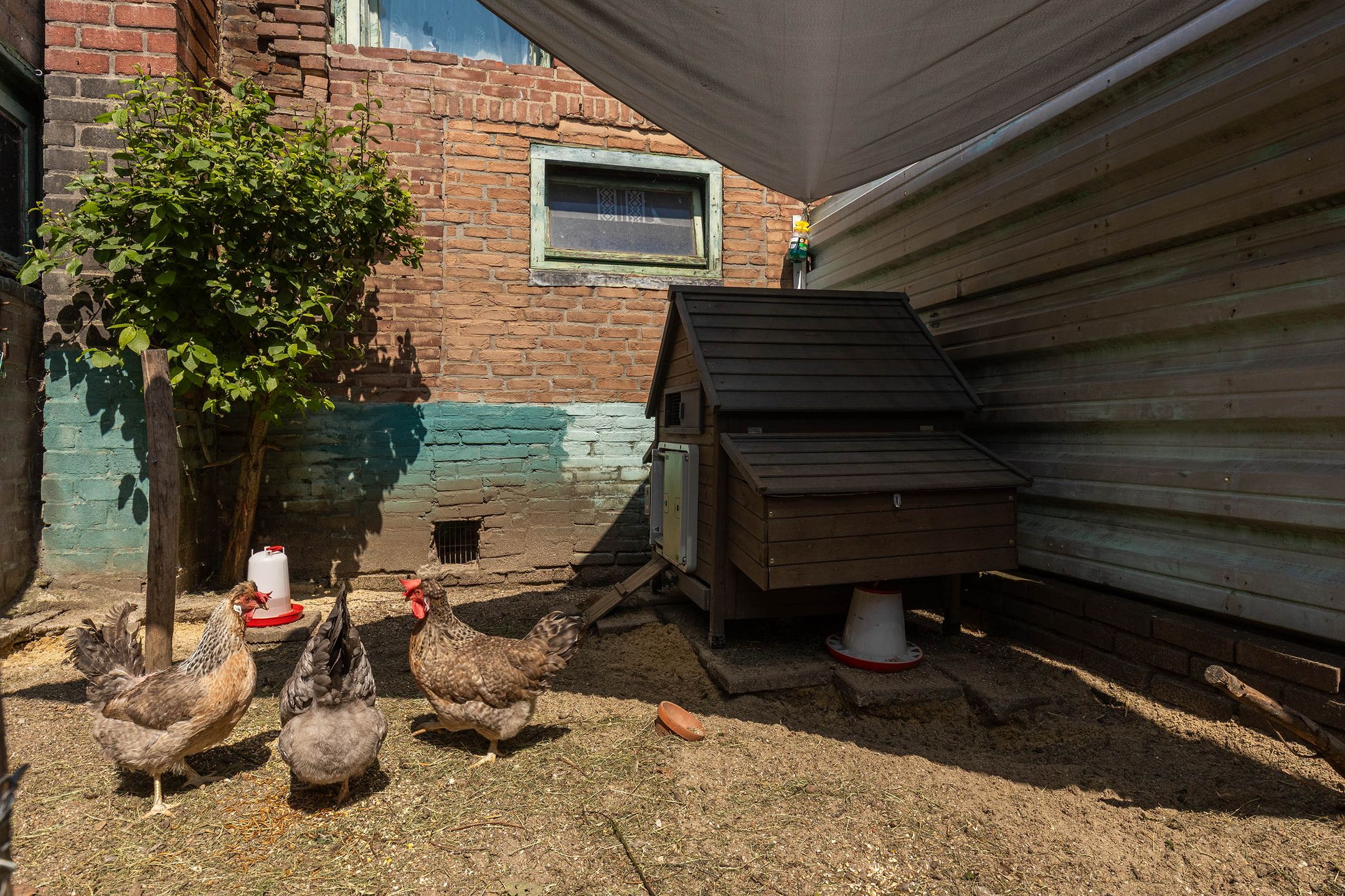 Foto 45 van Meerser Koestraat 11