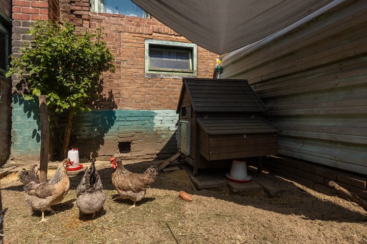 Foto 45 van Meerser Koestraat 11