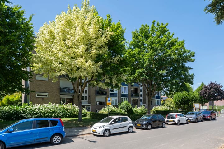 Foto 5 van Vrangendael 56-II