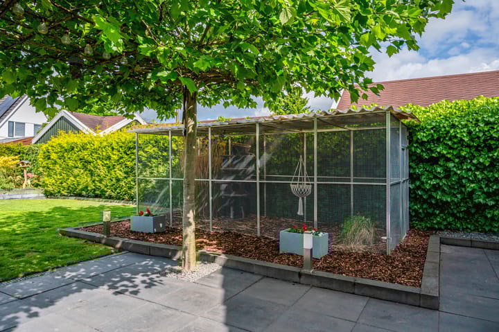 Photo 39 of Hoethslaan 6