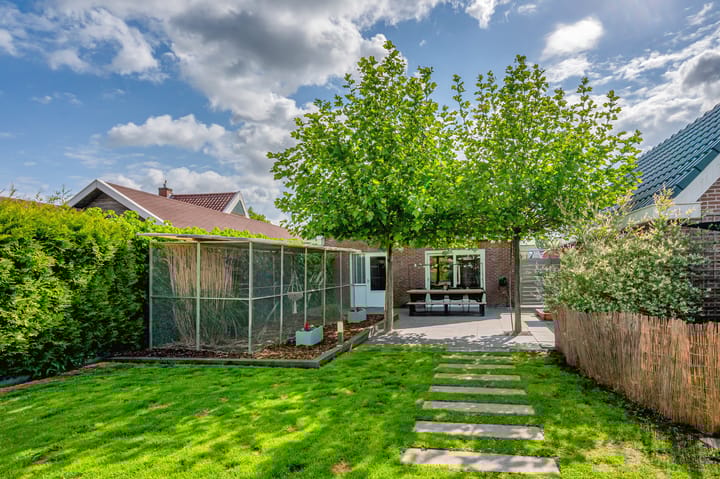 Photo 49 of Hoethslaan 6