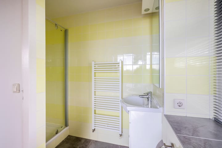 Photo 55 of Jan Steenstraat 46-A