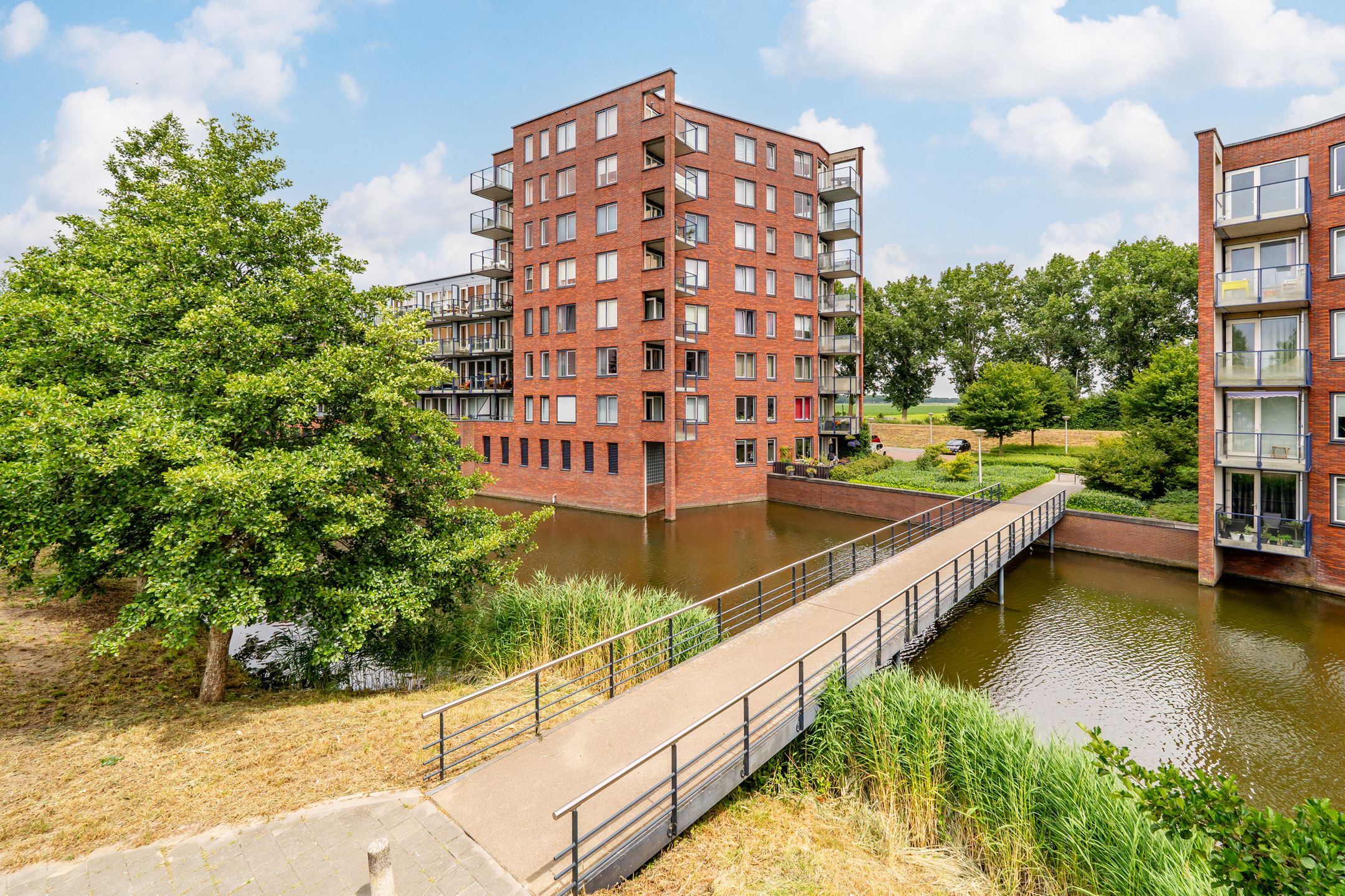 Foto 42 van Sint Janskruidlaan 354