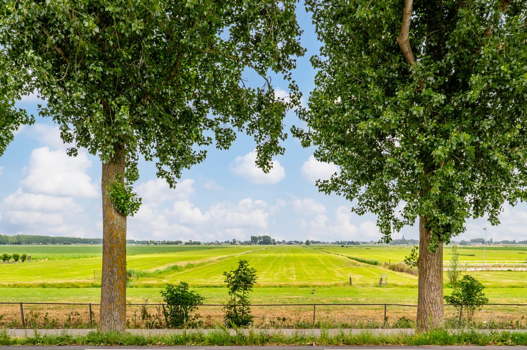 Foto 47 van Sint Janskruidlaan 354