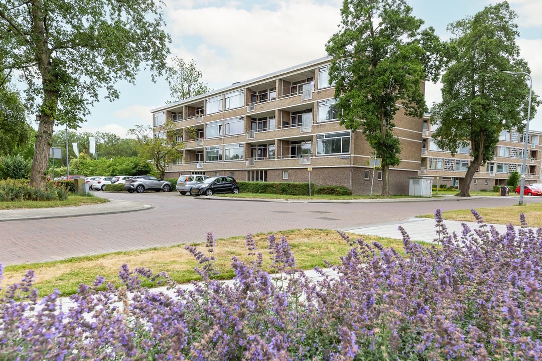 Foto 1 van Adriaen Lauwereyszstraat 99