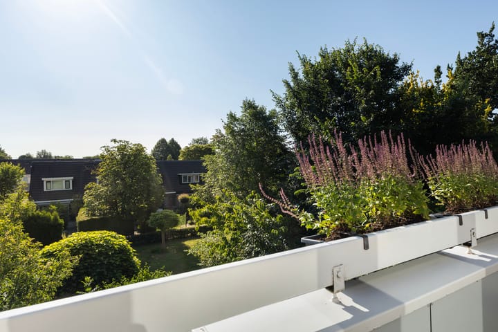 Foto 49 van Reinder Brolsmawei 6