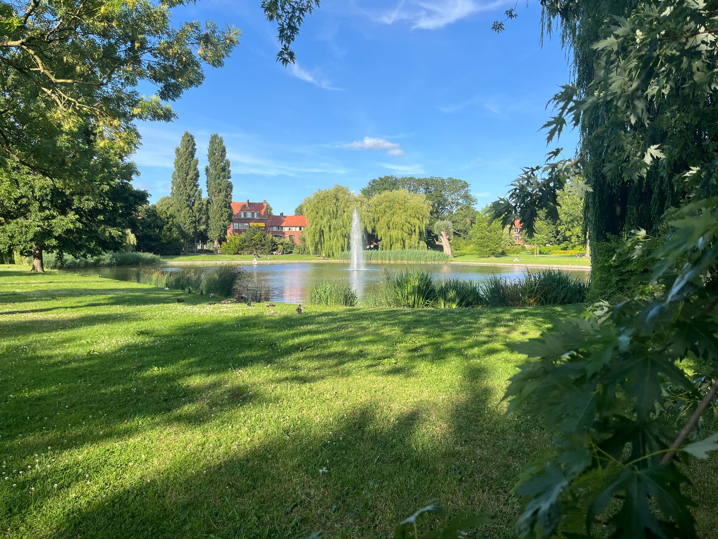 Foto 4 van Piet Fransenlaan 93