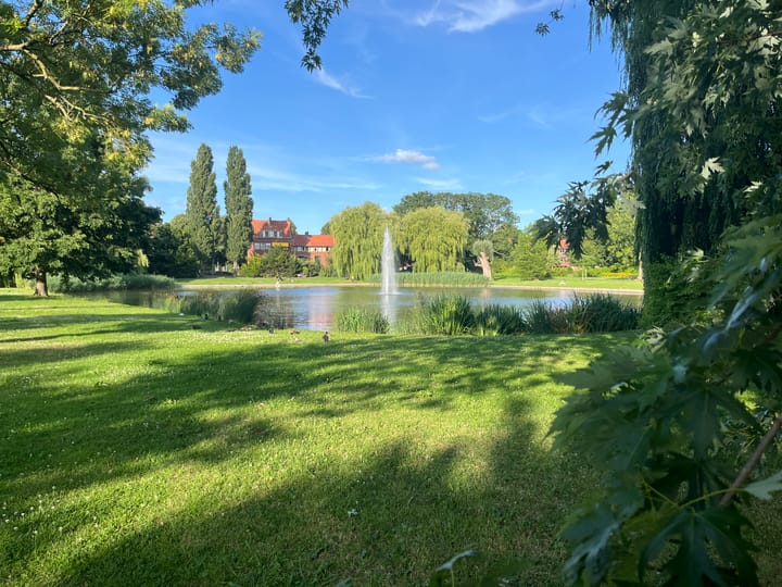 Foto 4 van Piet Fransenlaan 93