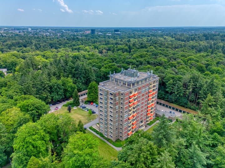 Foto 17 van Soerenseweg 125-31