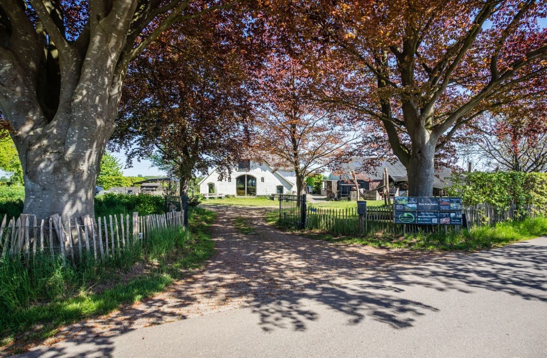 Schiphorsterstraat 16