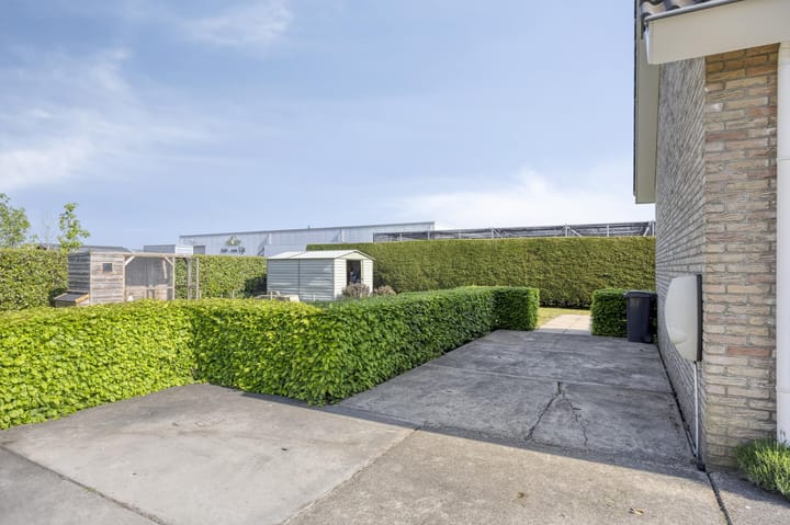 Photo 46 of Molenkolk 37