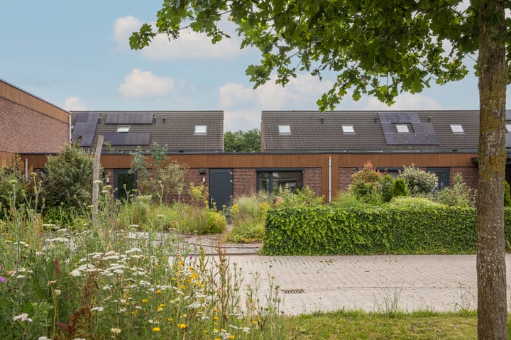 Foto 5 van Kamperfoeliewal 26