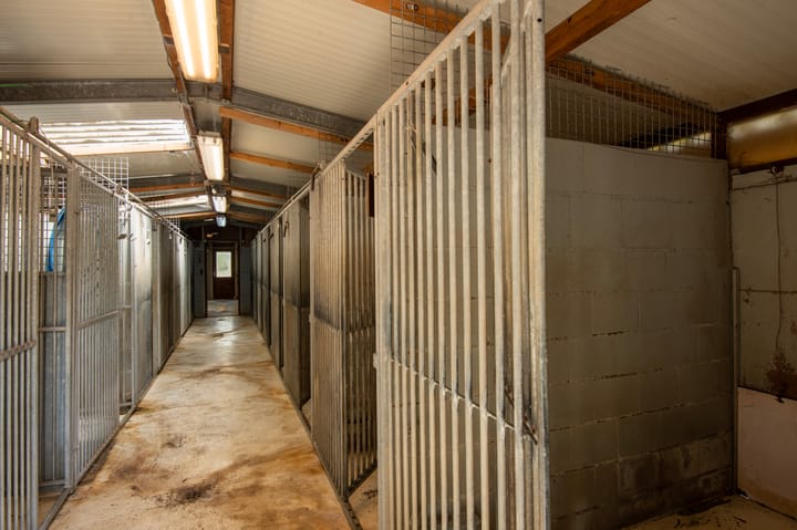 Foto 21 van Garderbroekerweg 41