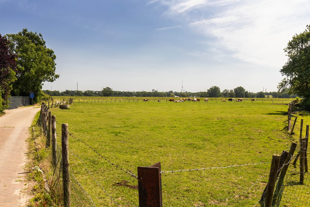 Foto 58 van Maasbanderkerkweg 20