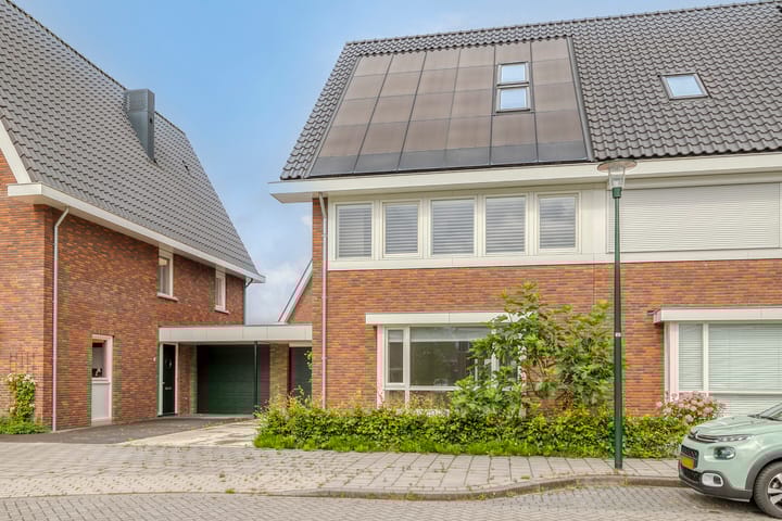undefined main image