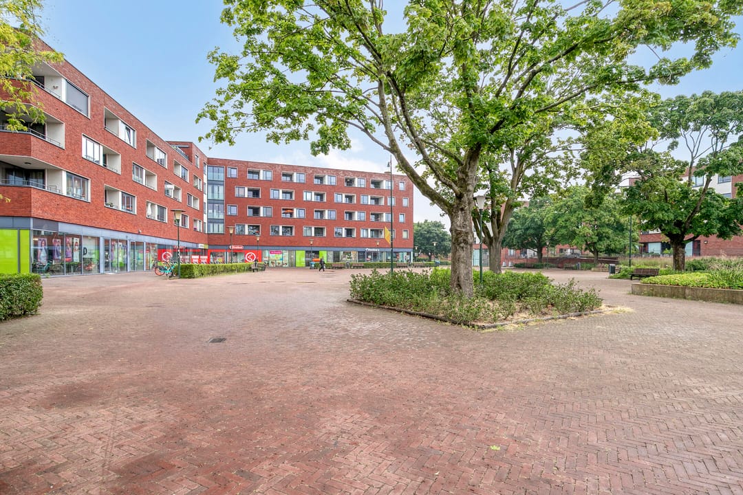 Foto 43 van Contrabasstraat 3