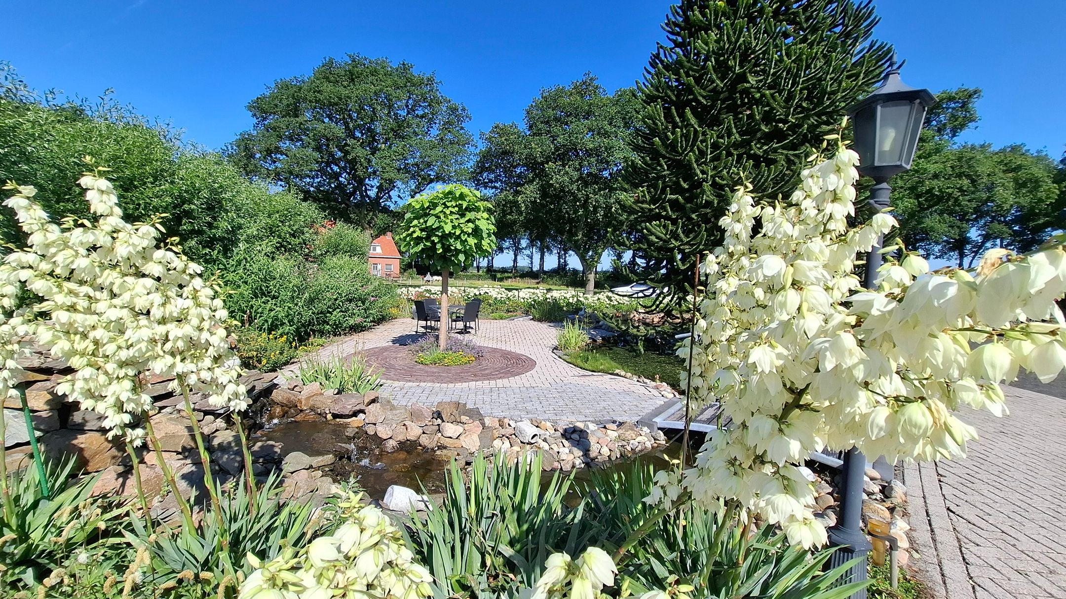 Foto 3 van Slegplakkenweg 1