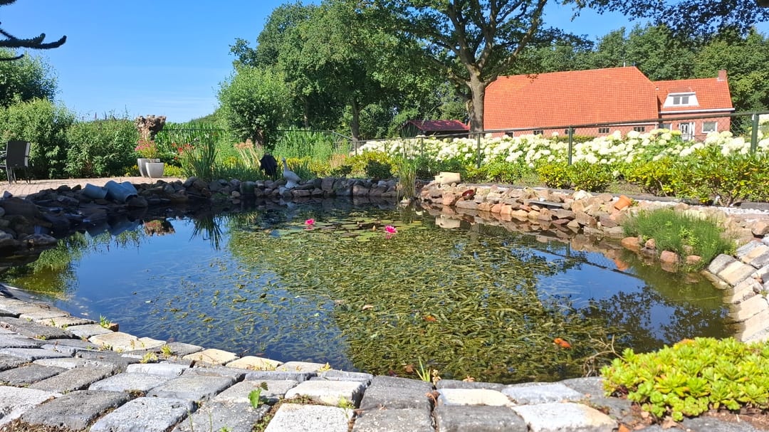 Foto 8 van Slegplakkenweg 1