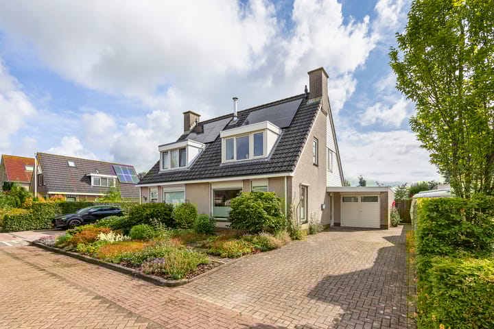 Photo 2 of Buizerd 13