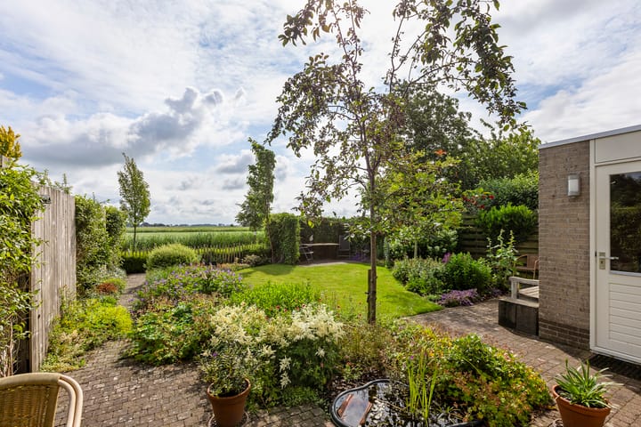 Photo 5 of Buizerd 13