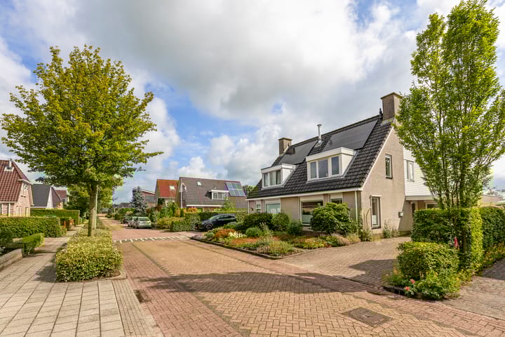 Foto 10 van Buizerd 13