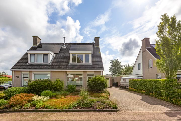 Foto 11 van Buizerd 13