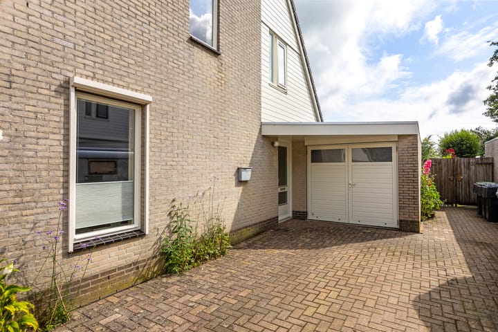 Foto 12 van Buizerd 13