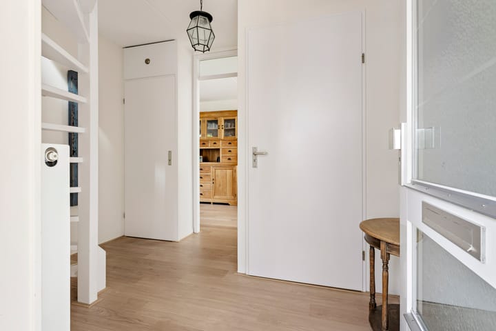 Foto 13 van Buizerd 13