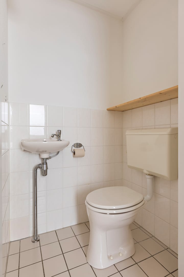 Foto 14 van Buizerd 13