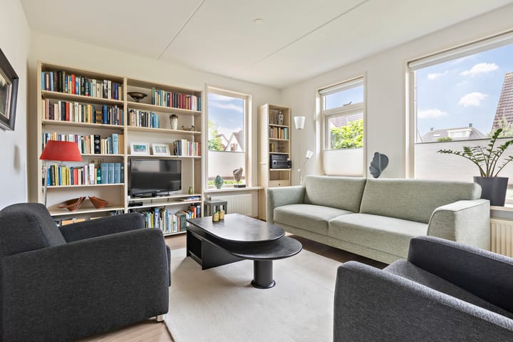 Foto 16 van Buizerd 13