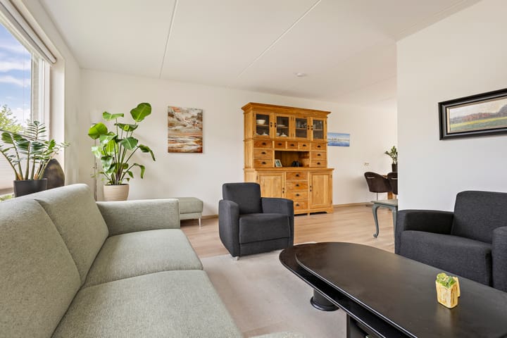 Foto 18 van Buizerd 13